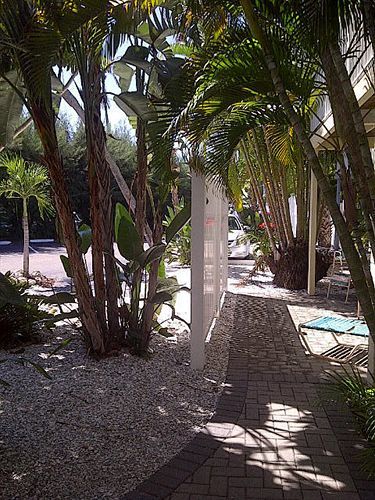 Coquina On The Beach Lido Key  Exterior foto